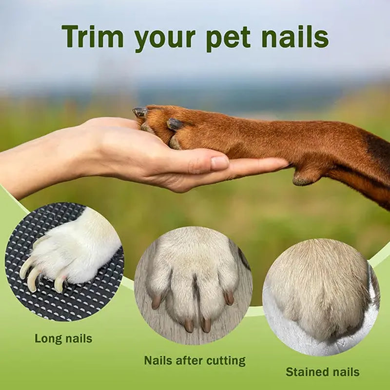 Summervibes Professional 2-In-1 Pet Nail Clipper and Grinder - Ultra Quiet Electric Nail Trimming Set for Dogs and Cats of All Sizes, Rechargeable and Efficient